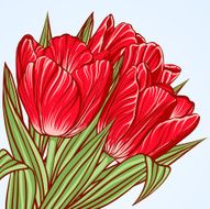 Floral background with flowers of tulips