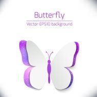 Paper butterfly card N2