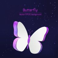 Paper butterfly card N3