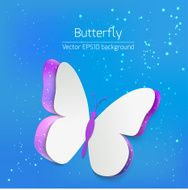 Paper butterfly card N4