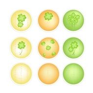 Illustration Set of Four Leaf Clovers Banner