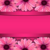Floral card N31
