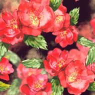 Watercolor seamless background with rose N3