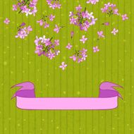 lilac&amp;ribbon