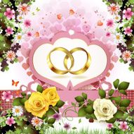 Two Wedding Rings N2