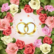 Two Wedding Rings N3
