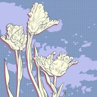 Bouquet of tulips
