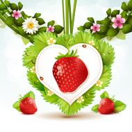 Strawberry N14