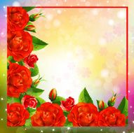Background with roses N7