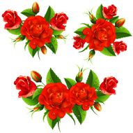 Red Roses N14