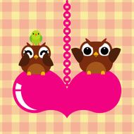 Owls couple in love