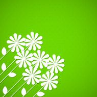 Floral background N925