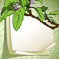 Romantic background N32