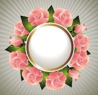 Roses N45