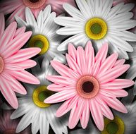 Background with gerberas