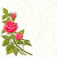 Rose N34