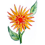 abstract yellow red floral watercolor flower paintings hand isol