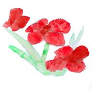 abstract red floral watercolor paintings hand isolated