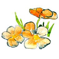abstract orange grass floral watercolor flower paintings hand is