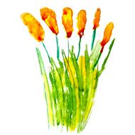 abstract grass yellow floral watercolor flower paintings hand is