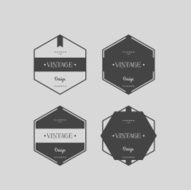Vector set vintage labels N5