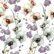 Beautiful orchid flower5