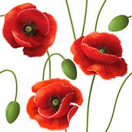 poppy pattern N6