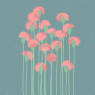 Pink carnation