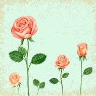 Vector Rose watercolor