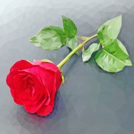 Red rose polygon