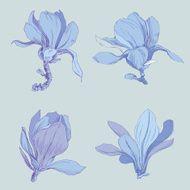 Flowers sketch N6
