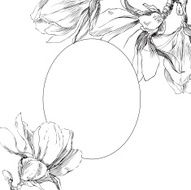 Magnolia Flowers N5
