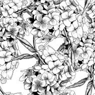 Monochrome Seamless Background with Hydrangea