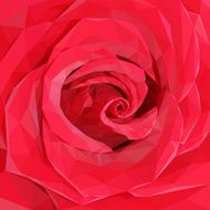 Red polygon rose N8