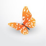 butterfly web flat icon
