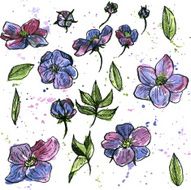 watercolor vector floral set N7