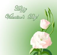 beautiful flowers - vector background for valentine day