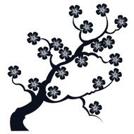 silhouette branches of sakura