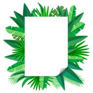 blank paper Tropical leaves vector