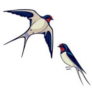 Two swallows