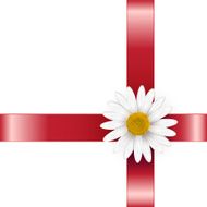 Gift decorated with a flower daisies