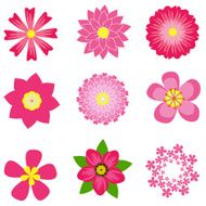colorful spring flowers collection vector illustration N2