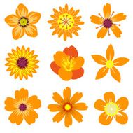 colorful spring flowers collection vector illustration N3