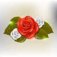 Rose background N15