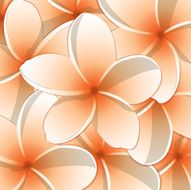 All purpose bright frangipani card in vector format