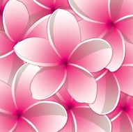 All purpose bright frangipani card in vector format N2