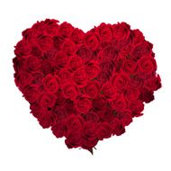 Valentines Day Heart Made of Red Roses EPS 10