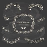 Hand sketched vintage floral elements N2