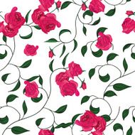 Twisted garden roses seamless vector pattern N3
