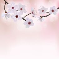 Flower tree background
